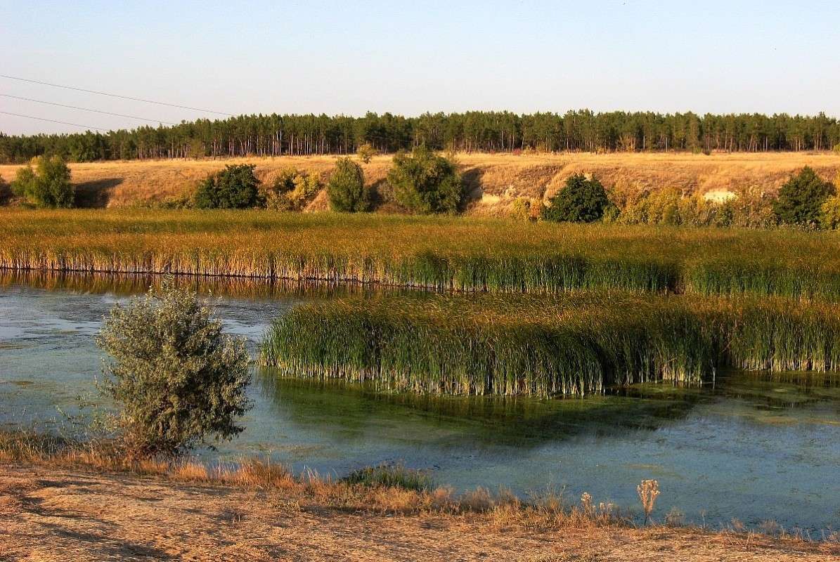 ������� ����  �������...) ����� Natali  ��������� �� PhotoGeek.ru #������ ��� ������� #����� ��������������