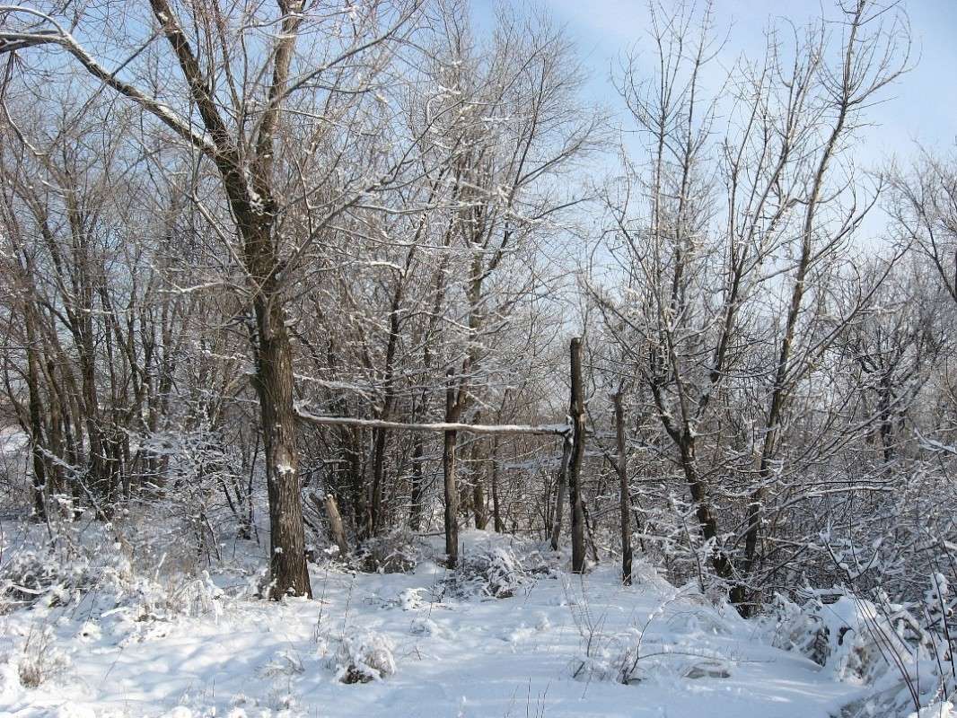 ... ����� Natali  ��������� �� PhotoGeek.ru #������ ��� ������� #����� ��������������