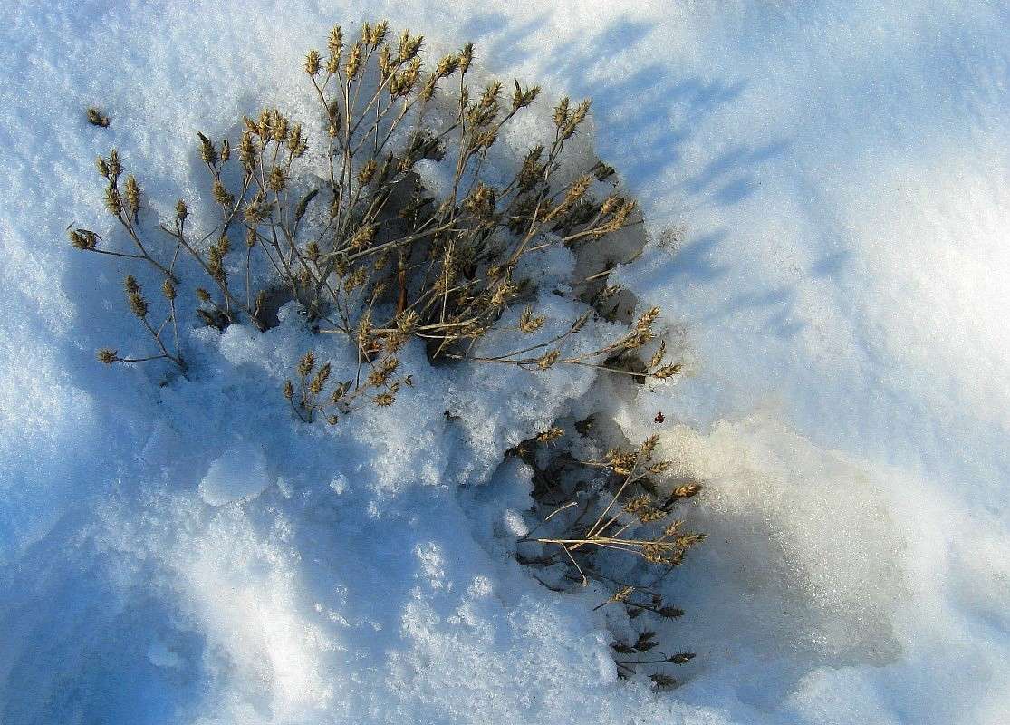 ������ �����...) ����� Natali  ��������� �� PhotoGeek.ru #������ ��� ������� #����� ��������������