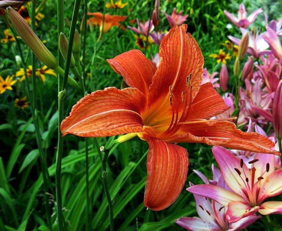 ... ����� Natali  ��������� �� PhotoGeek.ru #������ ��� ������� #����� ��������������