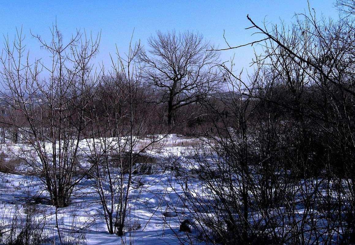 ��������� ���� ����� Natali  ��������� �� PhotoGeek.ru #������ ��� ������� #����� ��������������