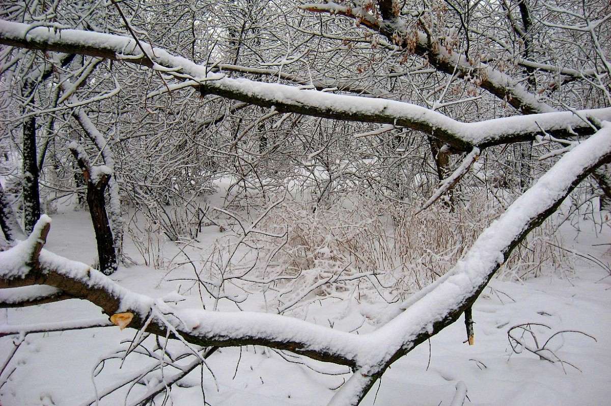 ������ ... � ��� ������������ ...) ����� Natali  ��������� �� PhotoGeek.ru #������ ��� ������� #����� ��������������