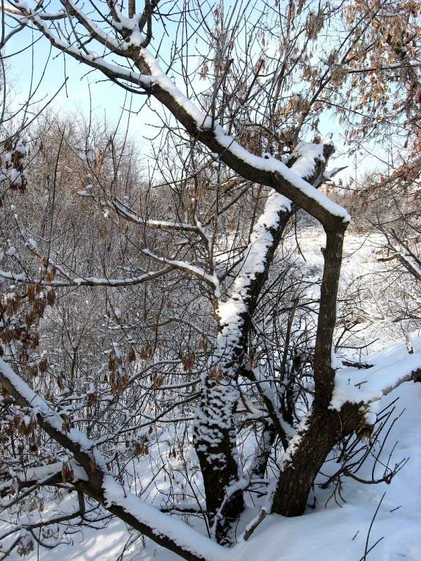 ... ����� Natali  ��������� �� PhotoGeek.ru #������ ��� ������� #����� ��������������