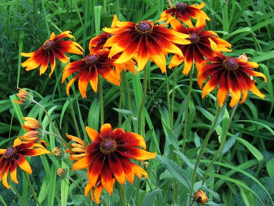 ... ����� Natali  ��������� �� PhotoGeek.ru #������ ��� ������� #����� ��������������