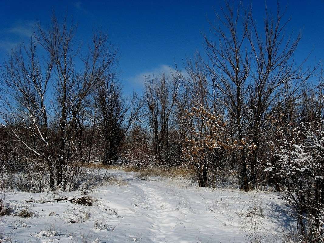 ������ �����������... ����� Natali  ��������� �� PhotoGeek.ru #������ ��� ������� #����� ��������������