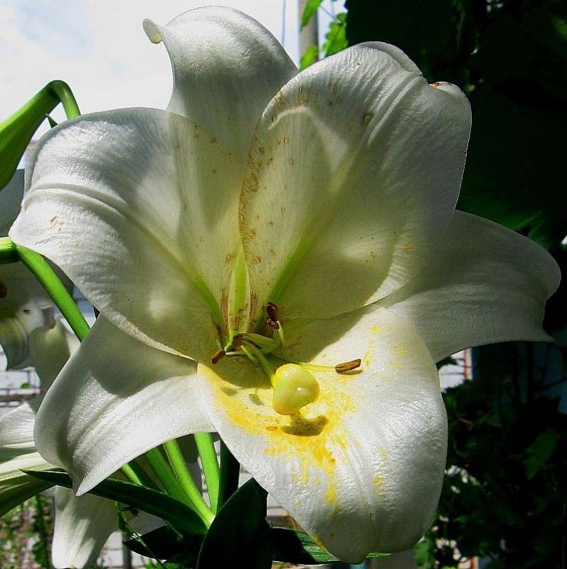 ... ����� Natali  ��������� �� PhotoGeek.ru #����� ��������������