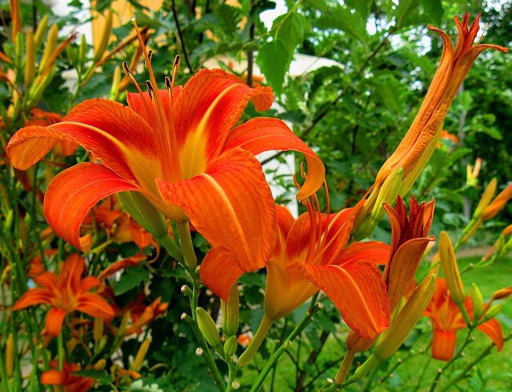 ... ����� Natali  ��������� �� PhotoGeek.ru #������ ��� ������� #����� ��������������