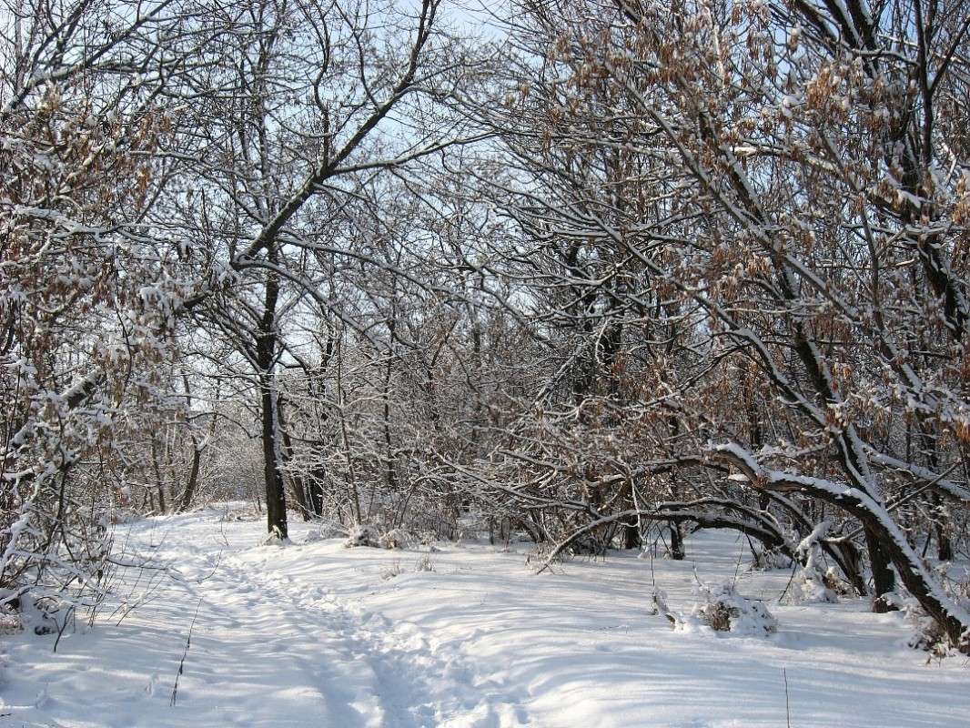 ... ����� Natali  ��������� �� PhotoGeek.ru #������ ��� ������� #����� ��������������