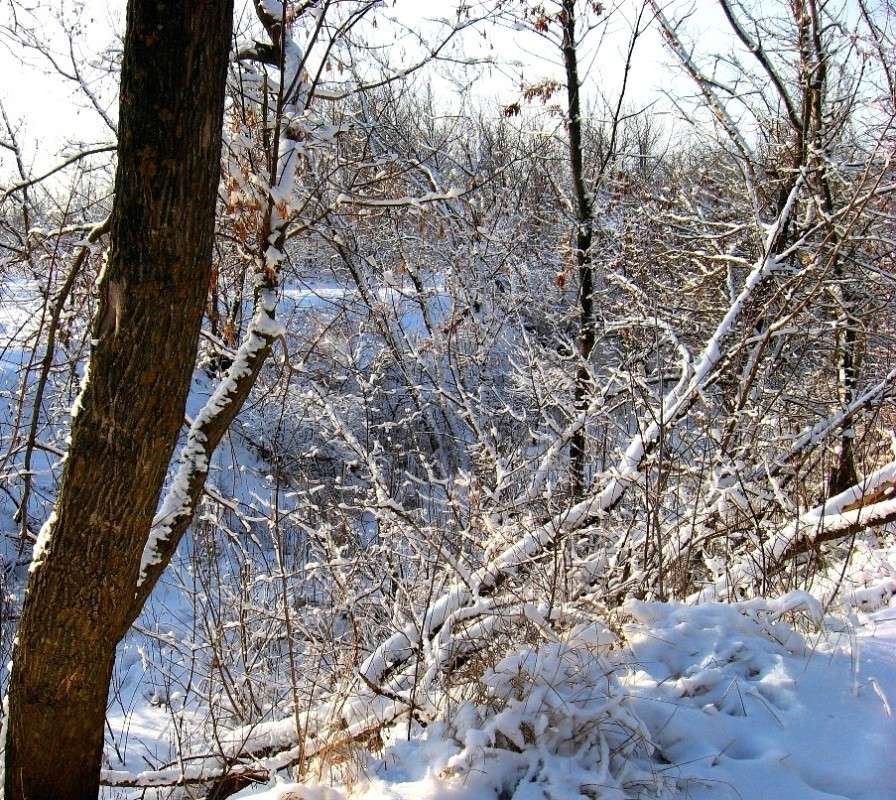 ������ �������� ����� Natali  ��������� �� PhotoGeek.ru #������ ��� ������� #����� ��������������