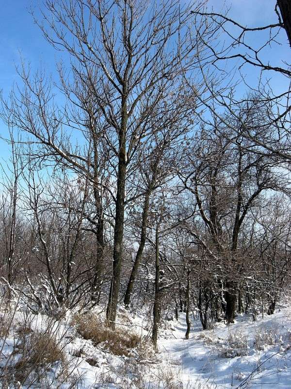 ... ����� Natali  ��������� �� PhotoGeek.ru #������ ��� ������� #����� ��������������