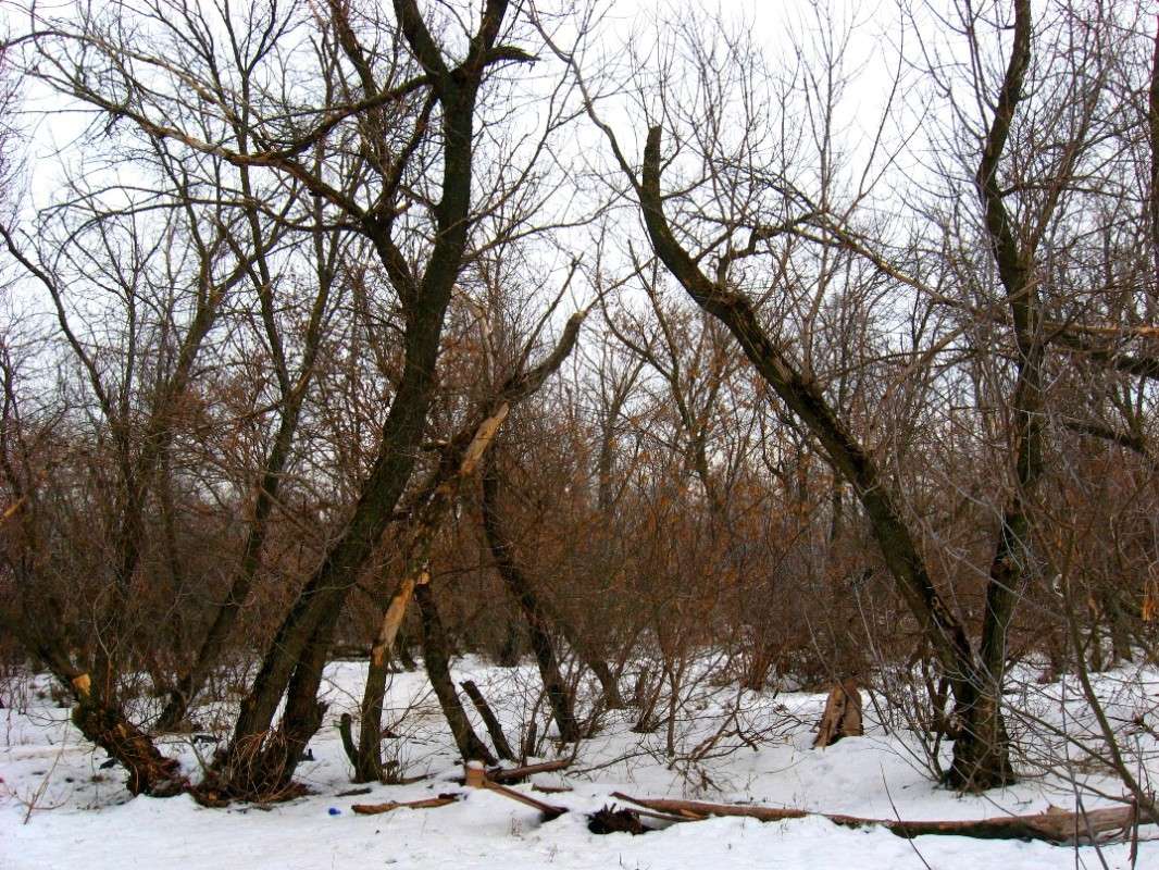 ������ � ������ � ����� ����� Natali  ��������� �� PhotoGeek.ru #������ ��� �������