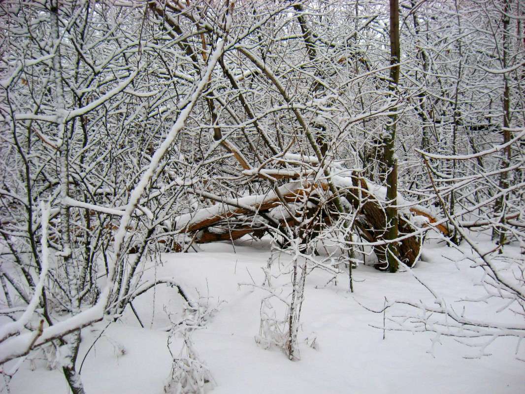 ������ ��������� ����� Natali  ��������� �� PhotoGeek.ru #������ ��� ������� #����� ��������������