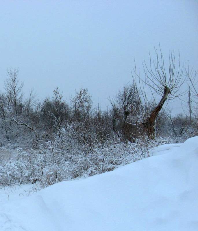 ������ ���������...2 ����� Natali  ��������� �� PhotoGeek.ru #������ ��� �������