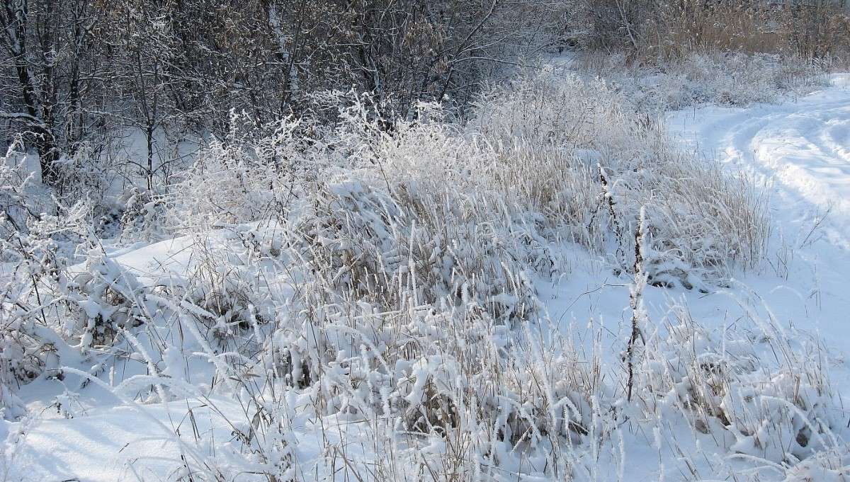 ������ ���������...3 ����� Natali  ��������� �� PhotoGeek.ru #������ ��� ������� #����� ��������������