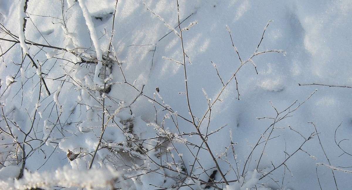 ���������...2 ����� Natali  ��������� �� PhotoGeek.ru #������ ��� ������� #����� ��������������