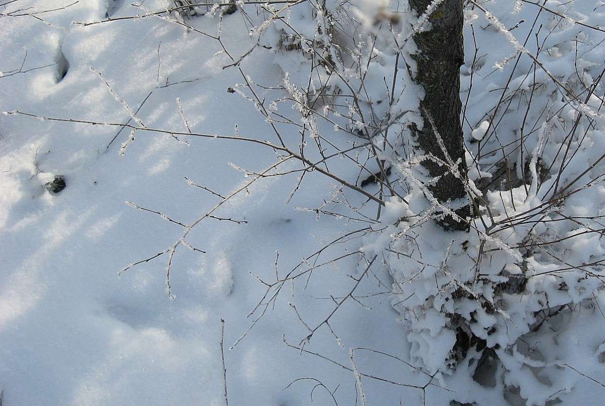 ��������� ����� Natali  ��������� �� PhotoGeek.ru #������ ��� ������� #����� ��������������