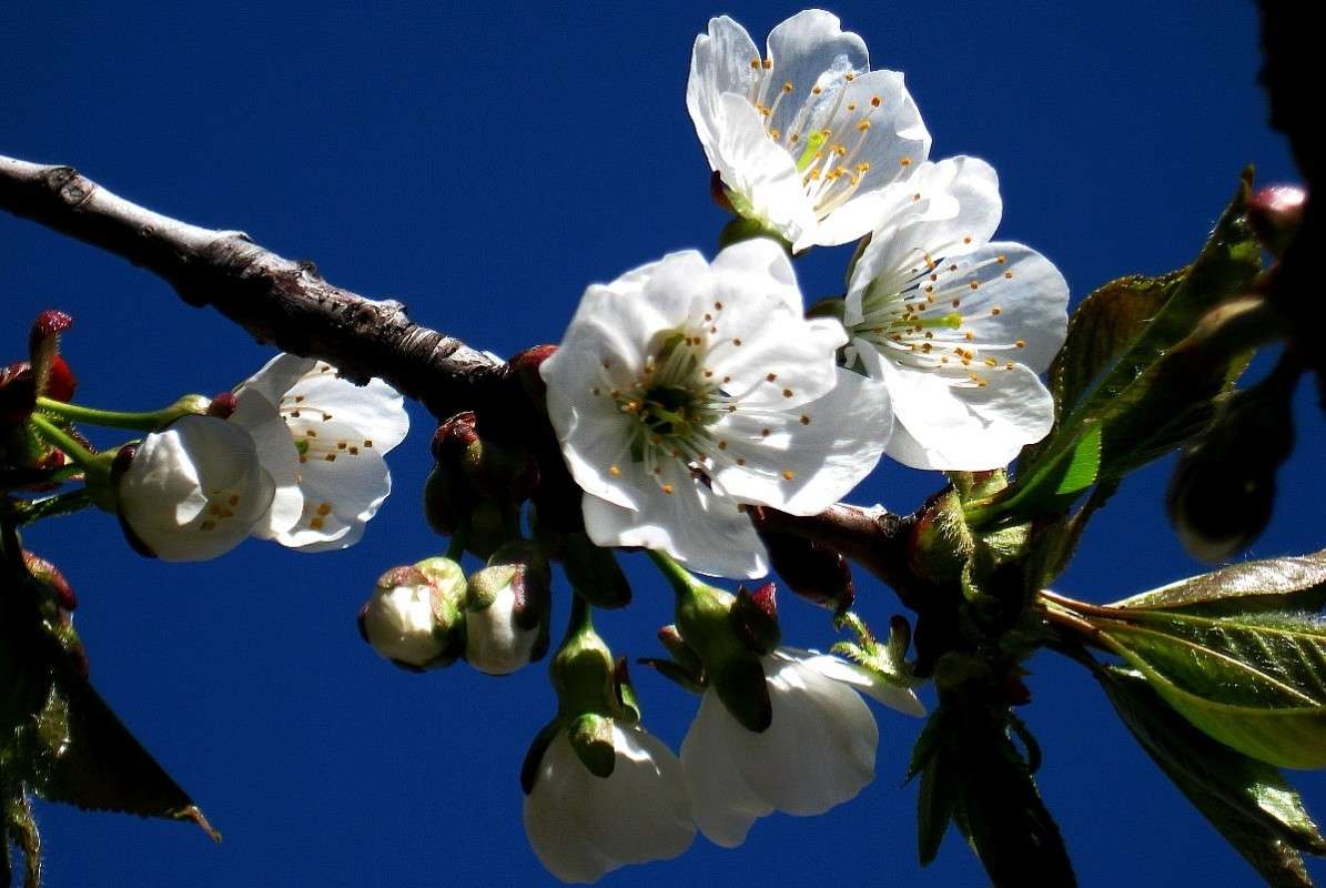 ������������ ����� ����� Natali  ��������� �� PhotoGeek.ru #������ ��� ������� #����� ��������������