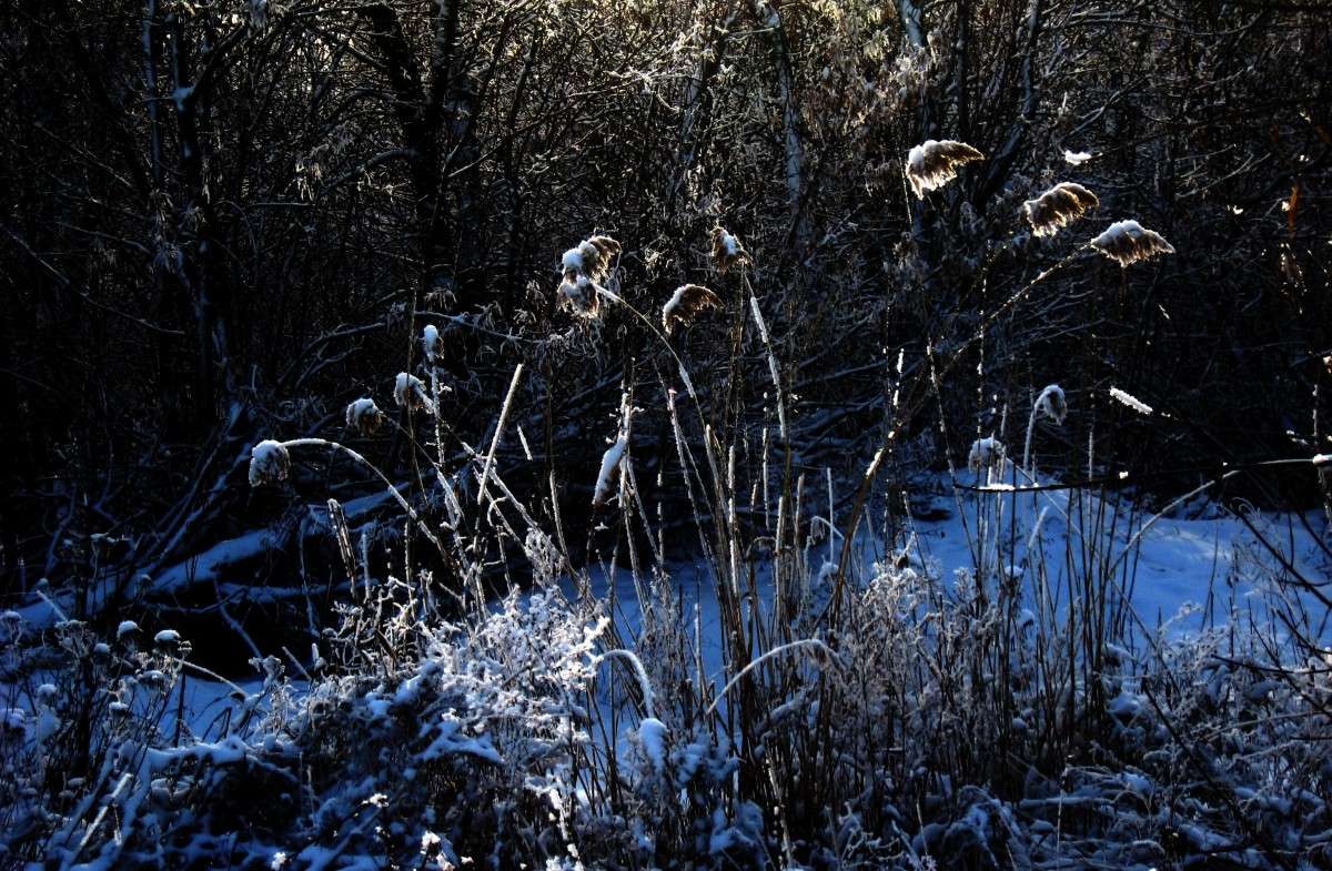 � ����� �����...) ����� Natali  ��������� �� PhotoGeek.ru #������ ��� ������� #����� ��������������