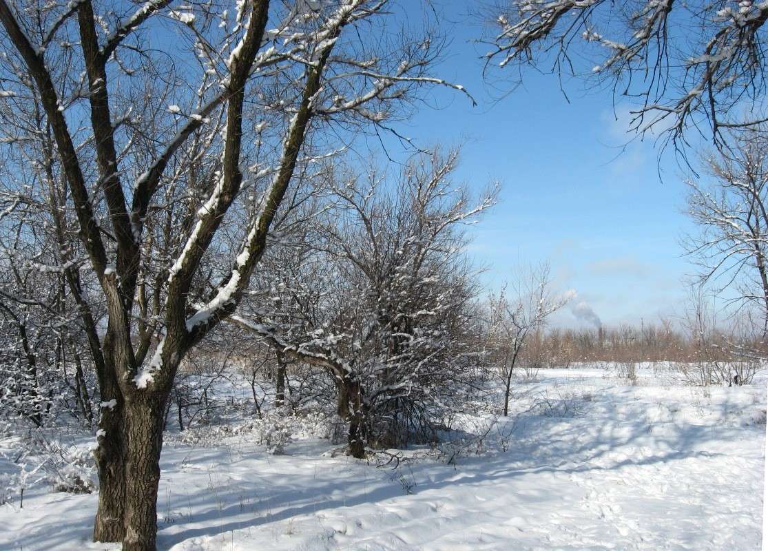 � ������...) ����� Natali  ��������� �� PhotoGeek.ru #������ ��� ������� #����� ��������������