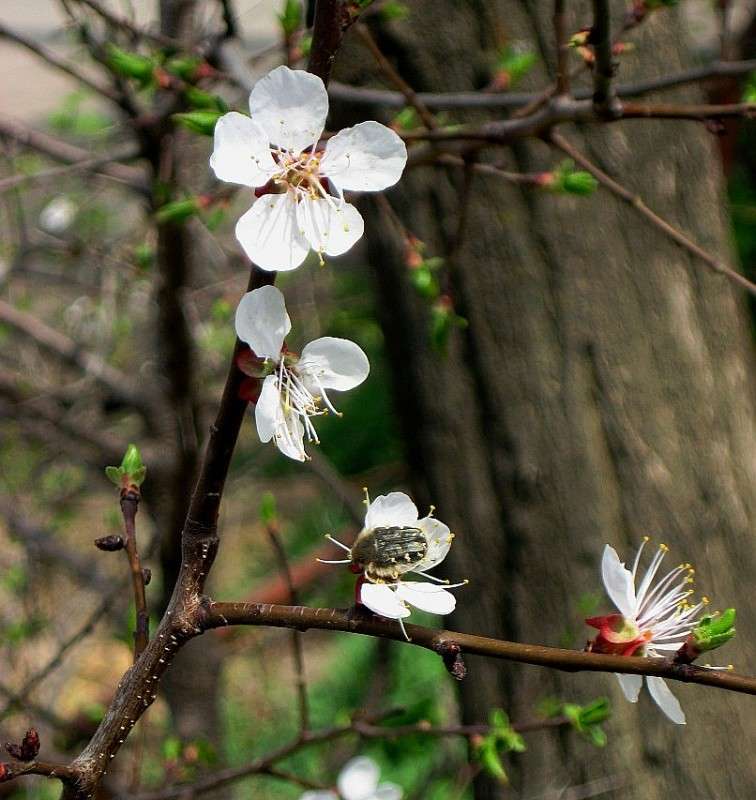 ������ ������������...3 ����� Natali  ��������� �� PhotoGeek.ru #������ ��� ������� #����� ��������������