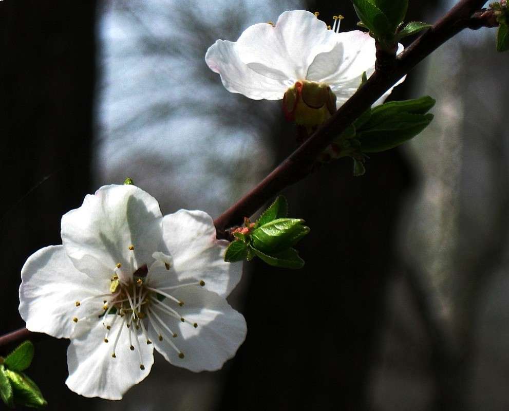 ������ ������������...2 ����� Natali  ��������� �� PhotoGeek.ru #������ ��� ������� #����� ��������������