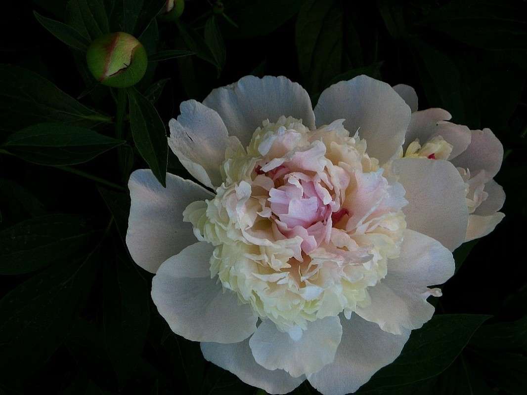 ������ ������������ ����� Natali  ��������� �� PhotoGeek.ru #������ ��� ������� #����� ��������������