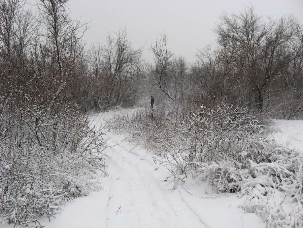 ��������� ������ ����� Natali  ��������� �� PhotoGeek.ru #������ ��� ������� #����� ��������������