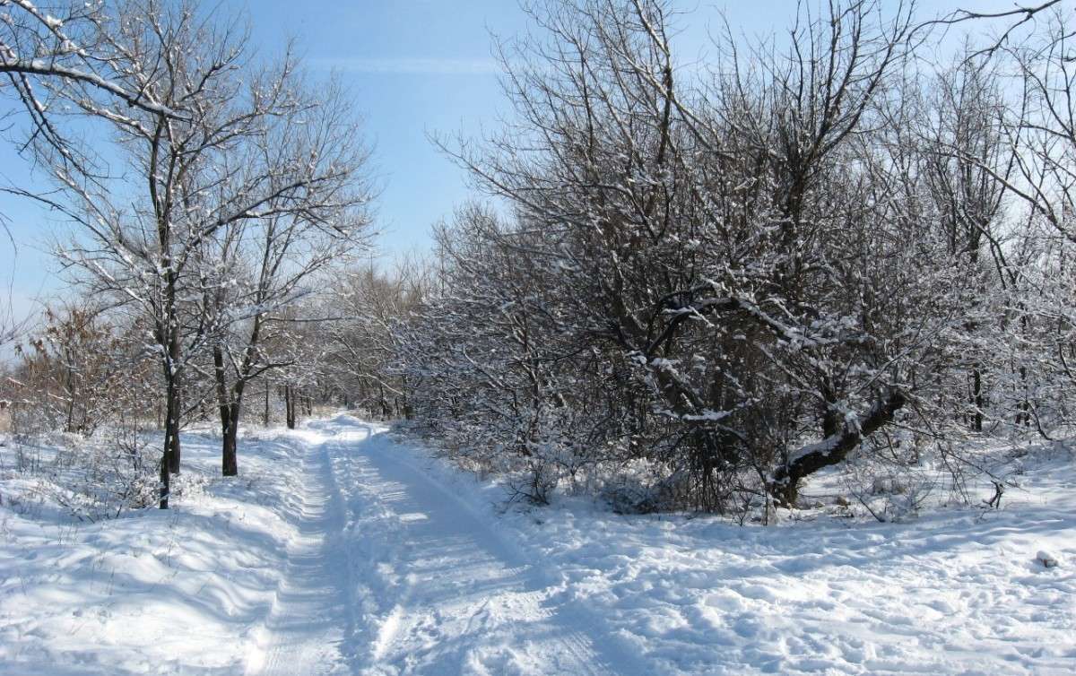 ... ����� Natali  ��������� �� PhotoGeek.ru #������ ��� ������� #����� ��������������