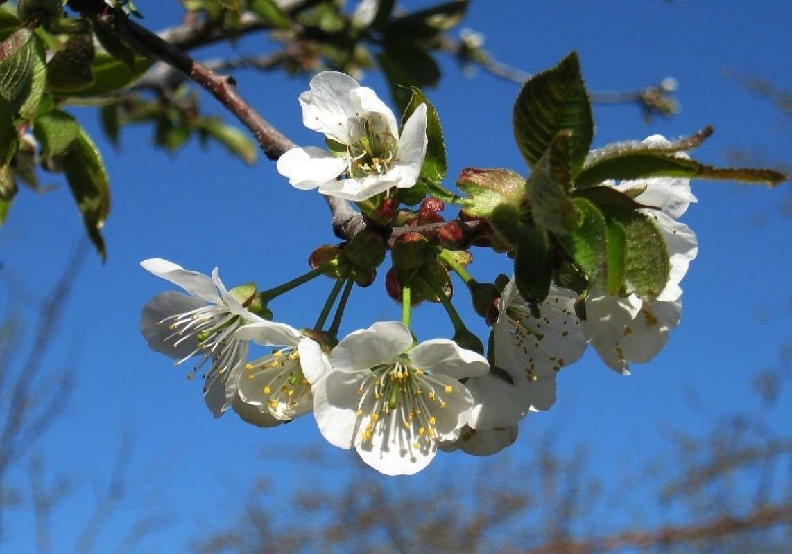 ������ ����� Natali  ��������� �� PhotoGeek.ru #������ ��� ������� #����� ��������������