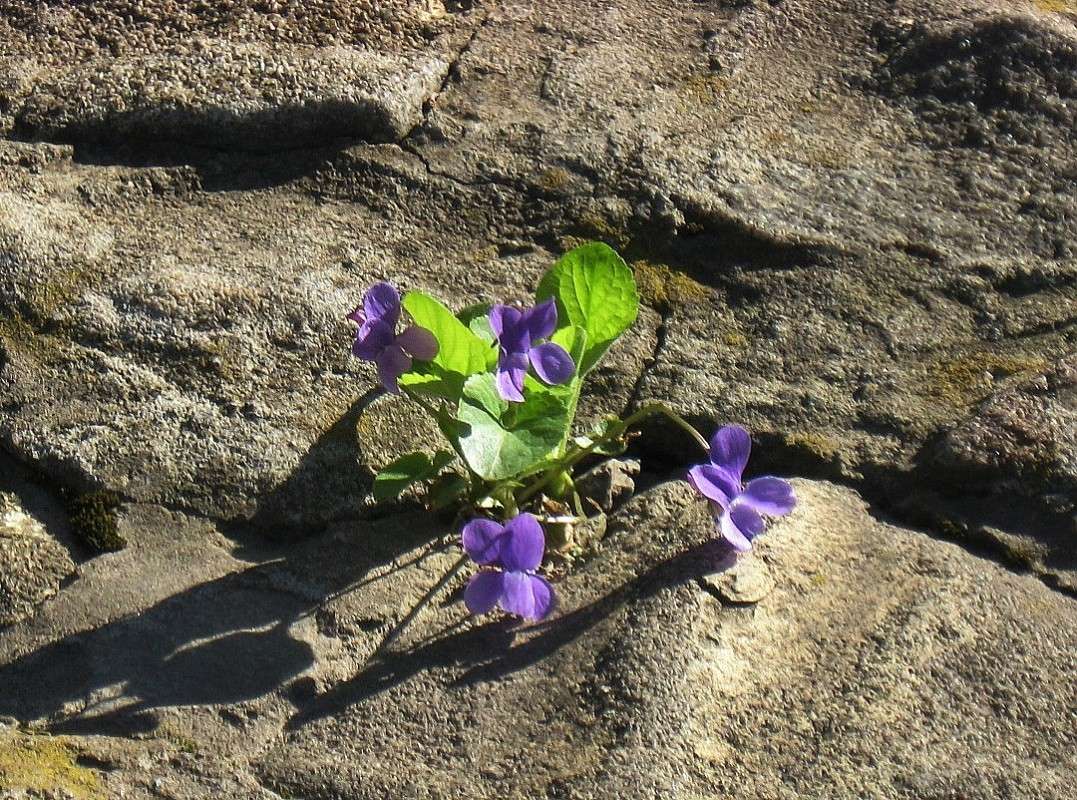 � �� ������...3 ����� Natali  ��������� �� PhotoGeek.ru #������ ��� ������� #����� ��������������