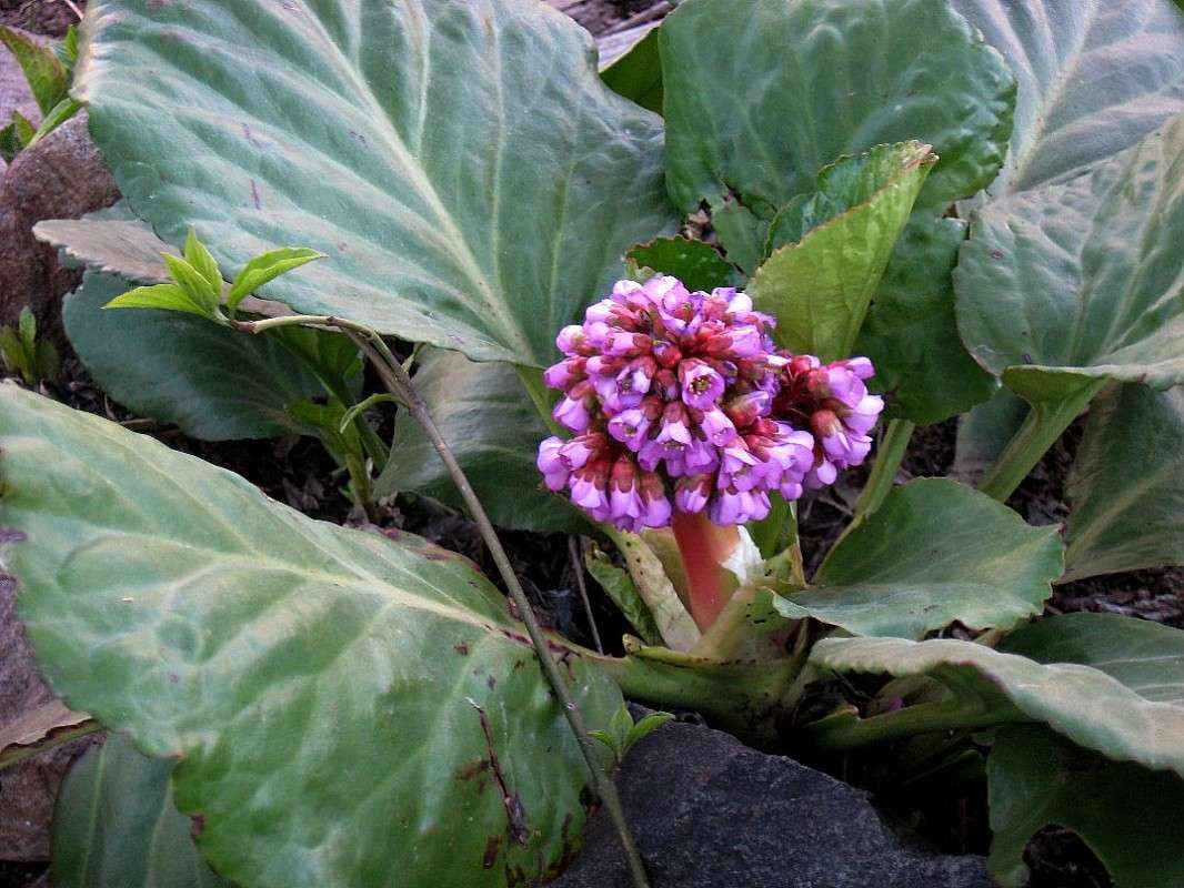 � �� ������...2 ����� Natali  ��������� �� PhotoGeek.ru #������ ��� ������� #����� ��������������