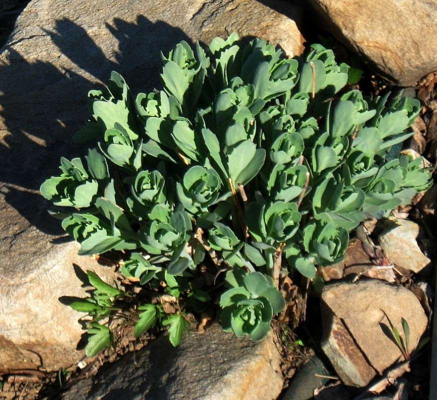 � �� ������....) ����� Natali  ��������� �� PhotoGeek.ru #������ ��� ������� #����� ��������������