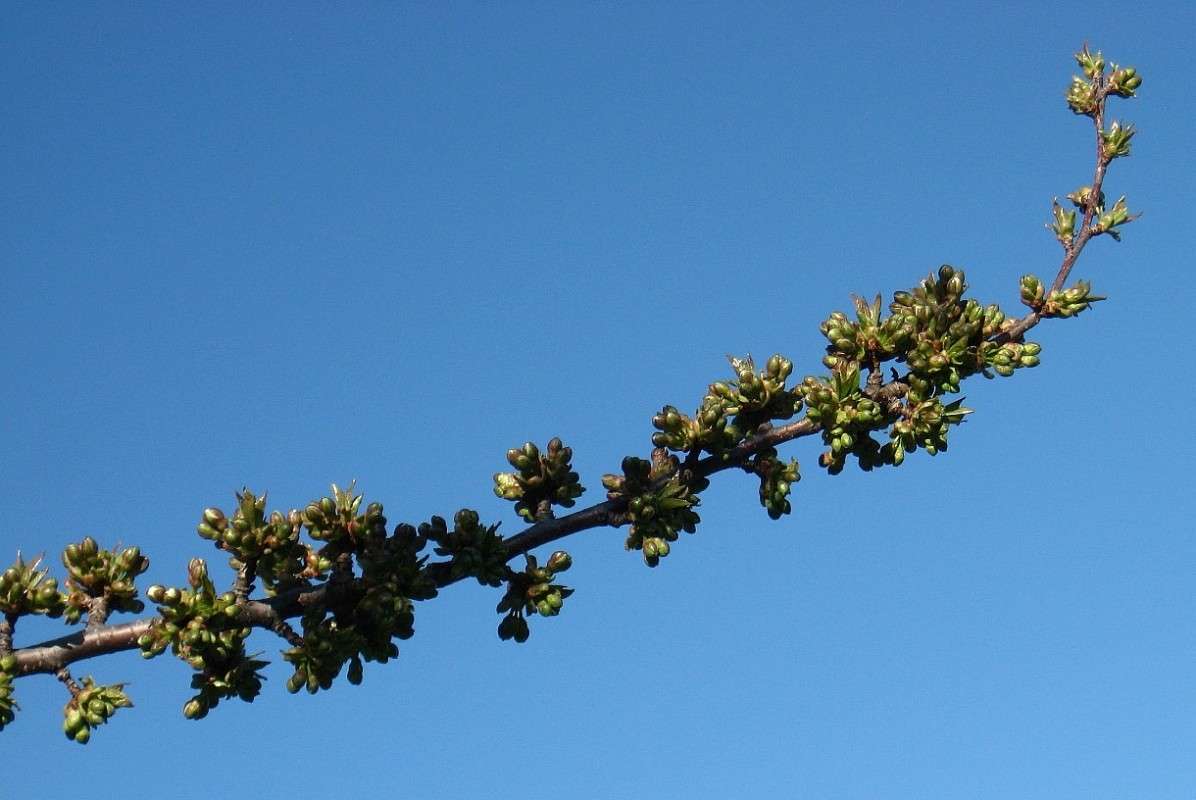 ����� ��������� ����� Natali  ��������� �� PhotoGeek.ru #������ ��� ������� #����� ��������������