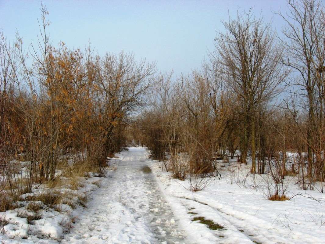 ... ����� Natali  ��������� �� PhotoGeek.ru #������ ��� ������� #����� ��������������