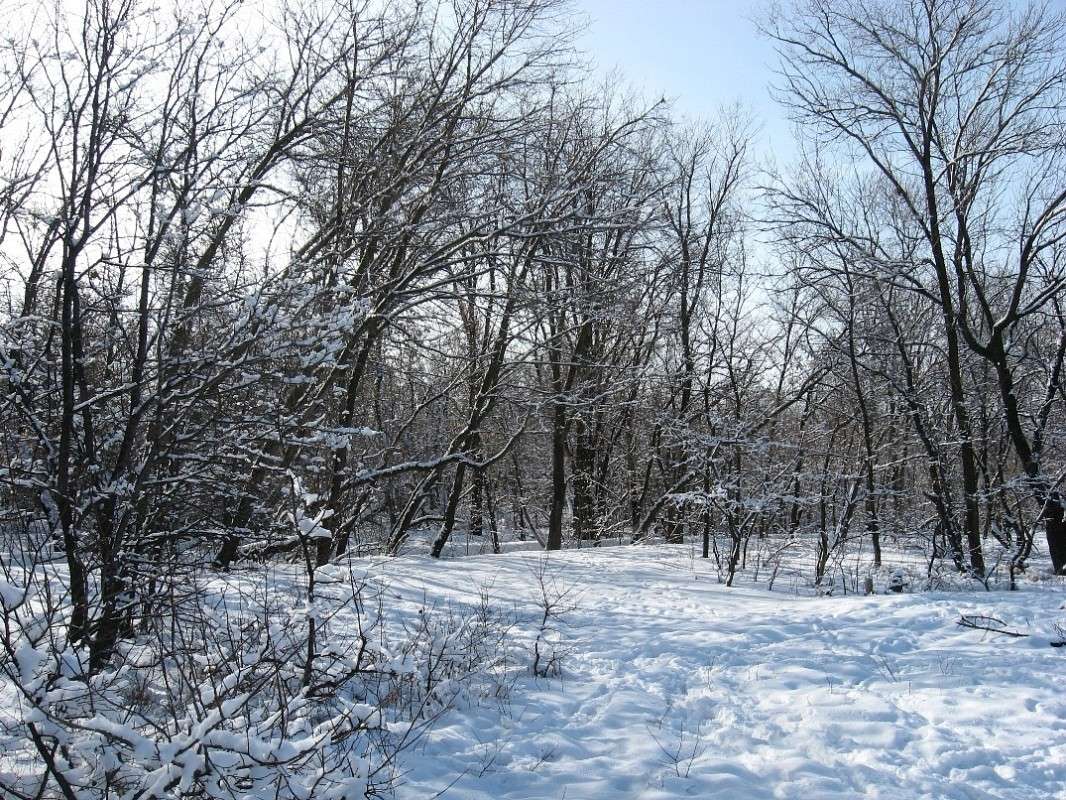 � �������, �� ����... ) ����� Natali  ��������� �� PhotoGeek.ru #������ ��� ������� #����� ��������������