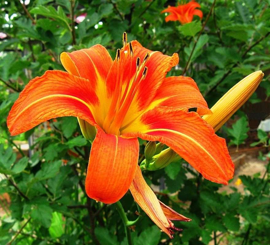 ... ����� Natali  ��������� �� PhotoGeek.ru #������ ��� ������� #����� ��������������