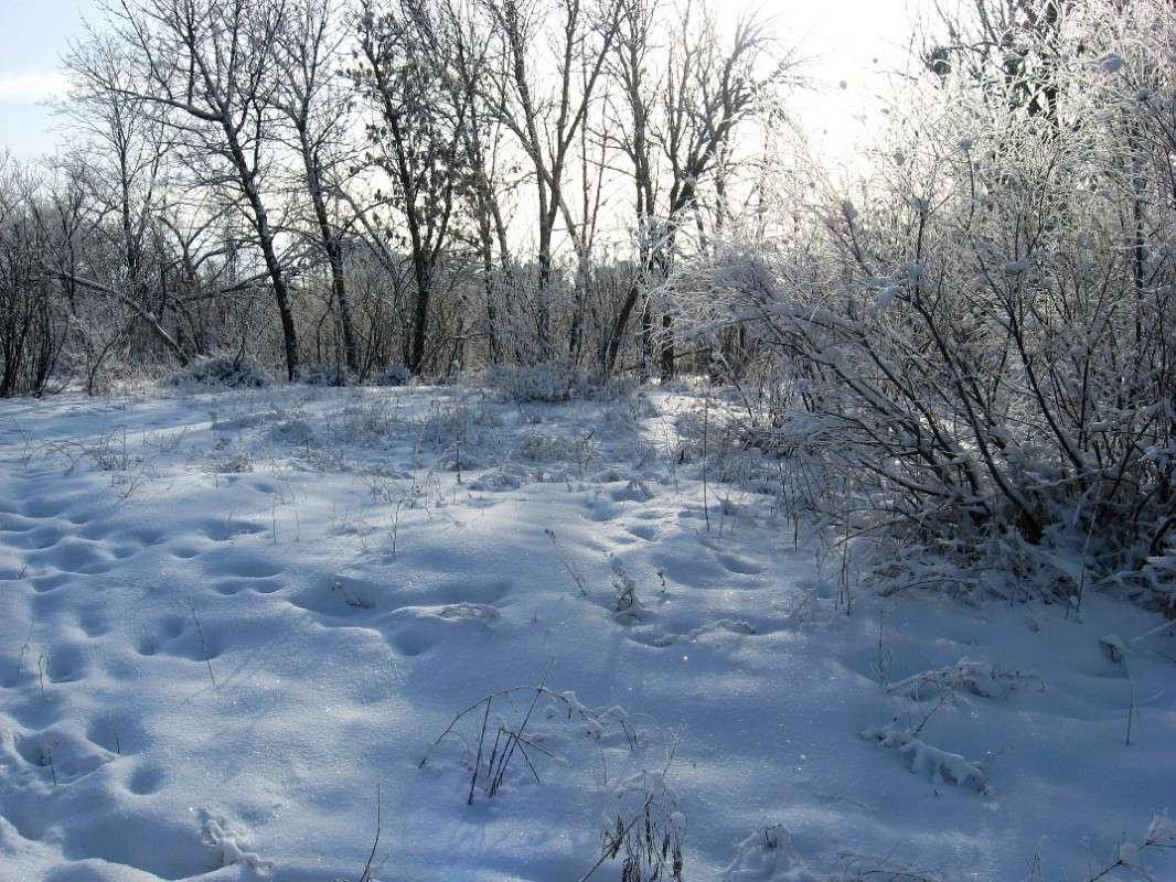 ������ ���� �������... ����� Natali  ��������� �� PhotoGeek.ru #������ ��� ������� #����� ��������������