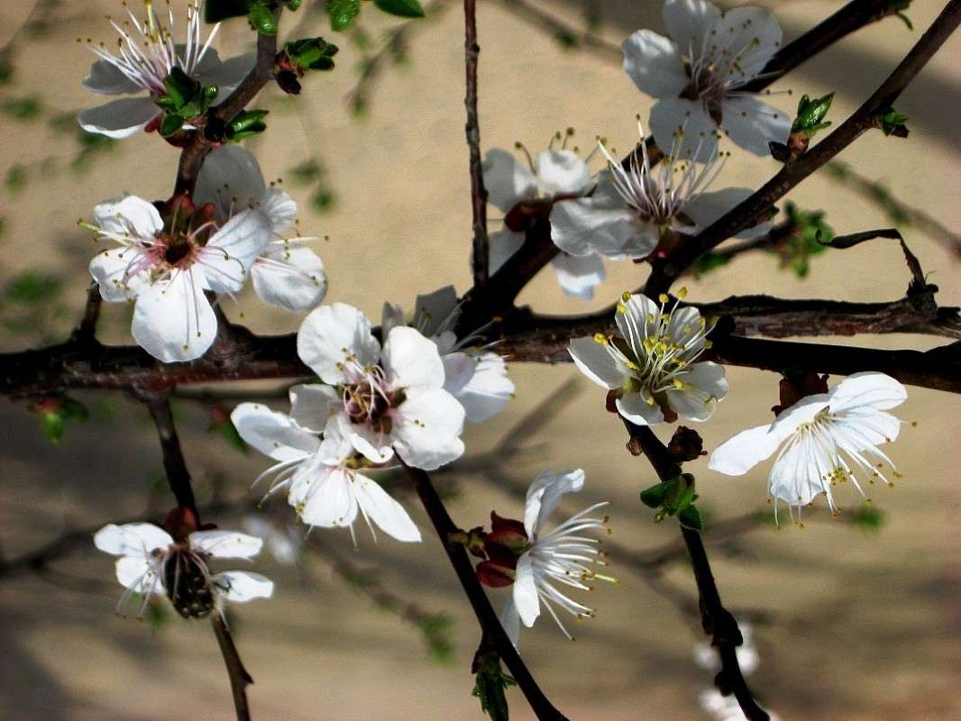 ��� ����� �������� ����� Natali  ��������� �� PhotoGeek.ru #������ ��� ������� #����� ��������������