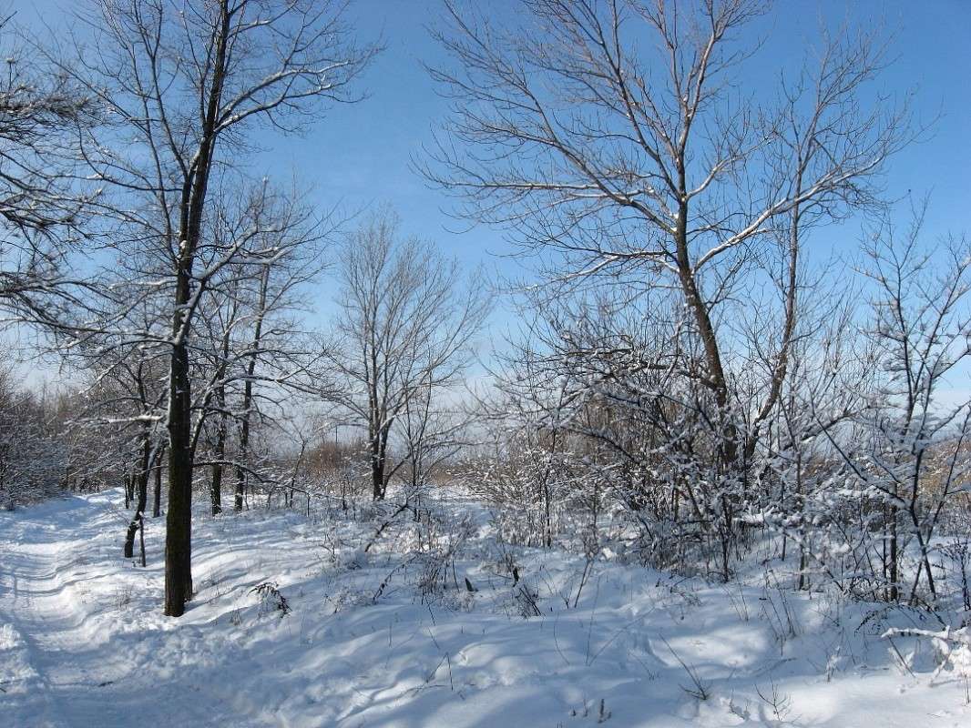 ��� ��� � ���� ����� Natali  ��������� �� PhotoGeek.ru #������ ��� ������� #����� ��������������