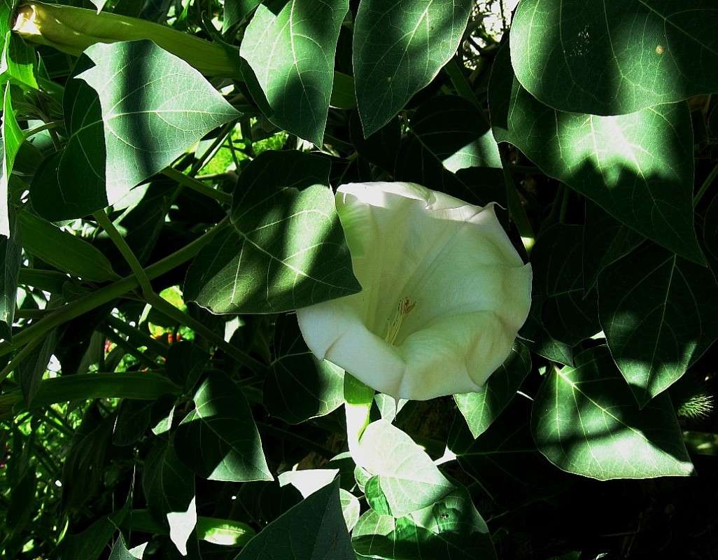 ��������� �� ������ ����� Natali  ��������� �� PhotoGeek.ru #������ ��� ������� #����� ��������������