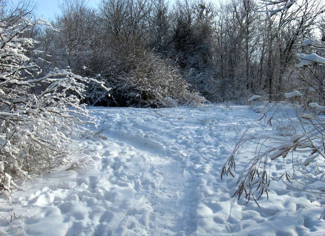 ���������� ����...) ����� Natali  ��������� �� PhotoGeek.ru #������ ��� ������� #����� ��������������