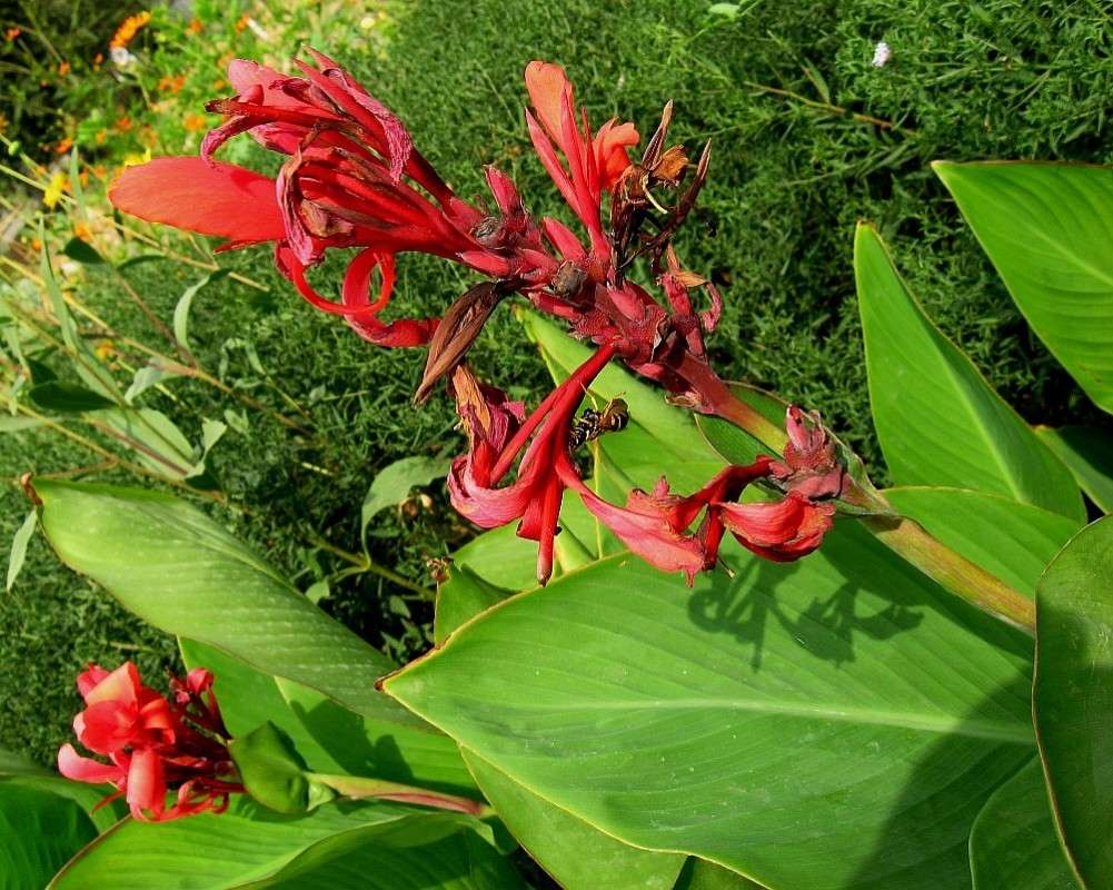 ... ����� Natali  ��������� �� PhotoGeek.ru #������ ��� ������� #����� ��������������