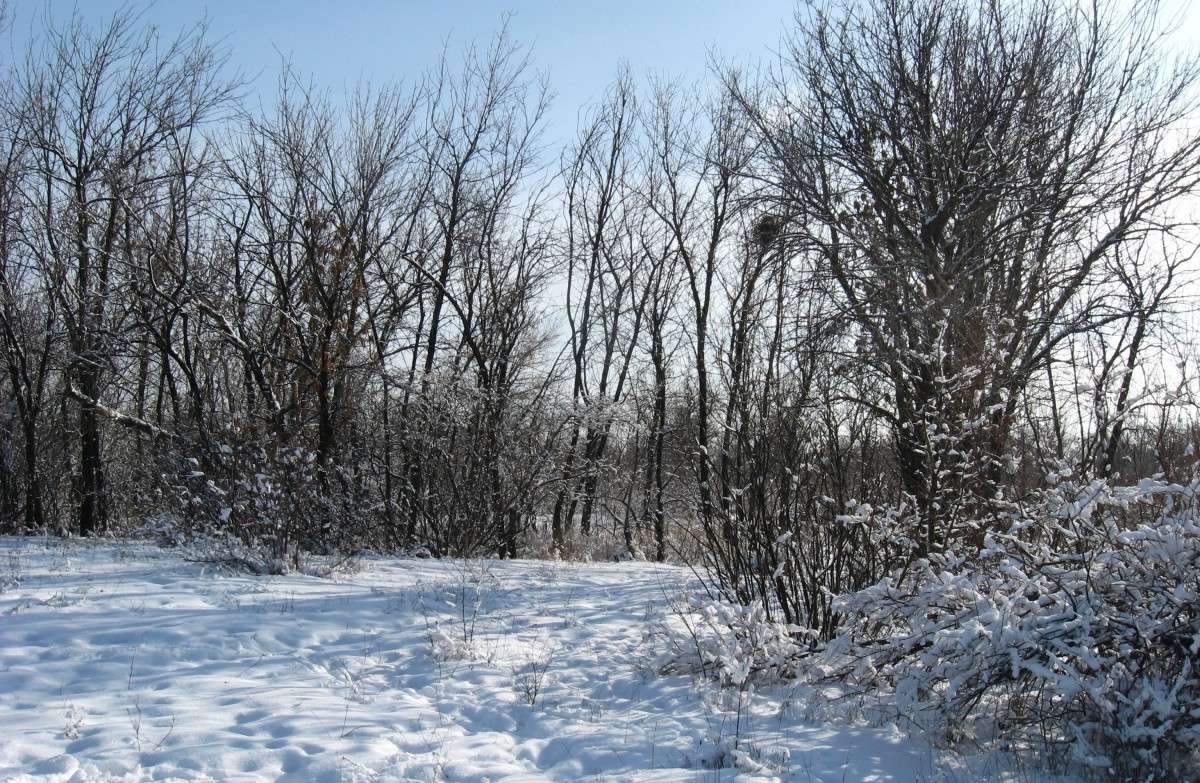 ����������� � ������ �������� ....) ����� Natali  ��������� �� PhotoGeek.ru #������ ��� �������