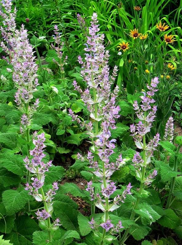 ��������� ...*__* ����� Natali  ��������� �� PhotoGeek.ru #������ ��� ������� #����� ��������������