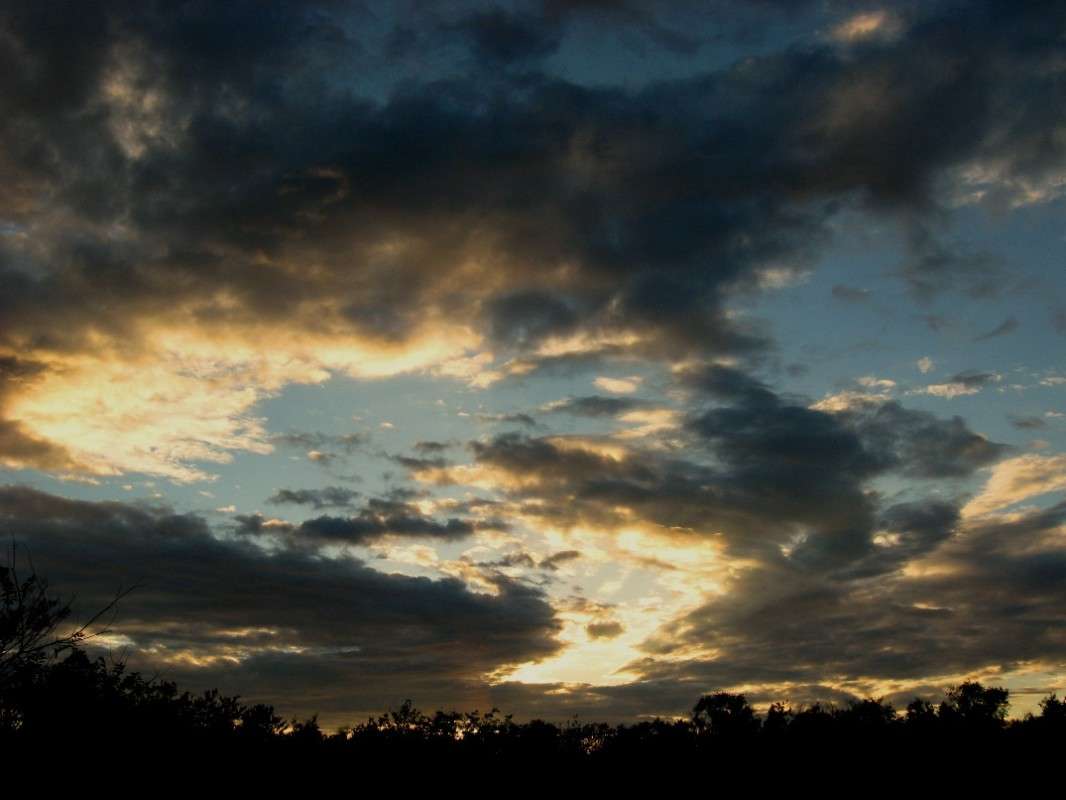 ... ����� Natali  ��������� �� PhotoGeek.ru #������ ��� ������� #����� ��������