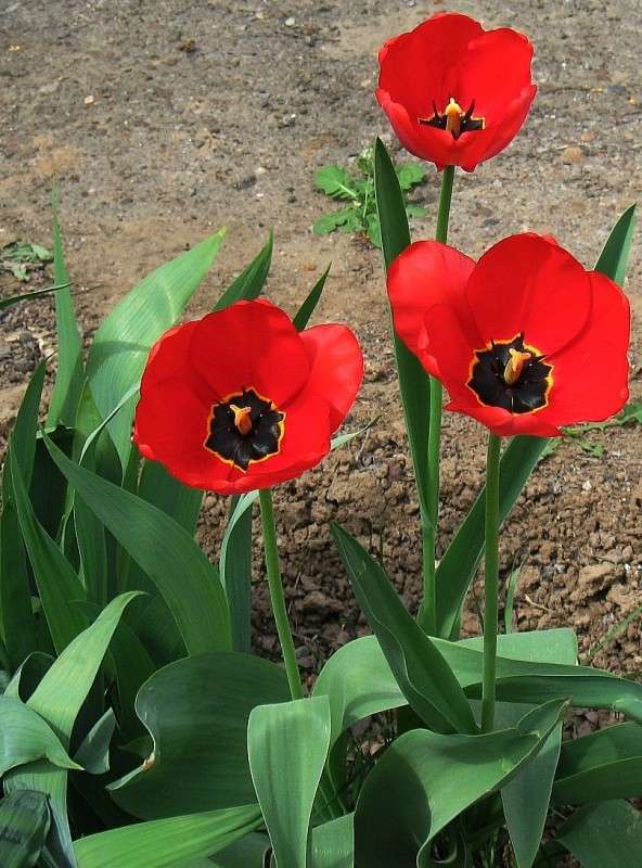 ... ����� Natali  ��������� �� PhotoGeek.ru #������ ��� ������� #����� ��������������