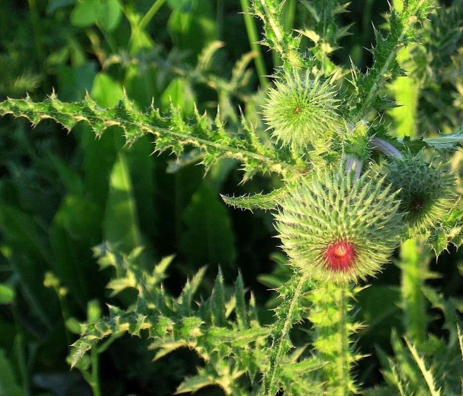 �������� ��������� ... 4 ����� Natali  ��������� �� PhotoGeek.ru #������ ��� ������� #����� ��������������