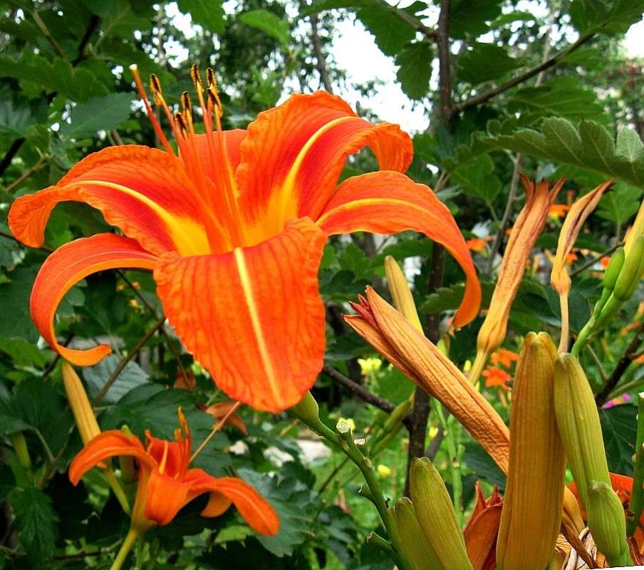 �������� ��������� .... ) ����� Natali  ��������� �� PhotoGeek.ru #������ ��� ������� #����� ��������������