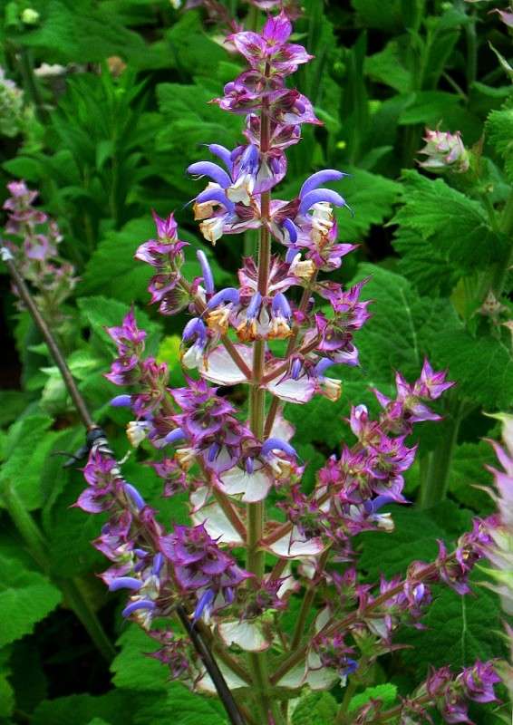 �������� ��������� ...2 ����� Natali  ��������� �� PhotoGeek.ru #������ ��� ������� #����� ��������������