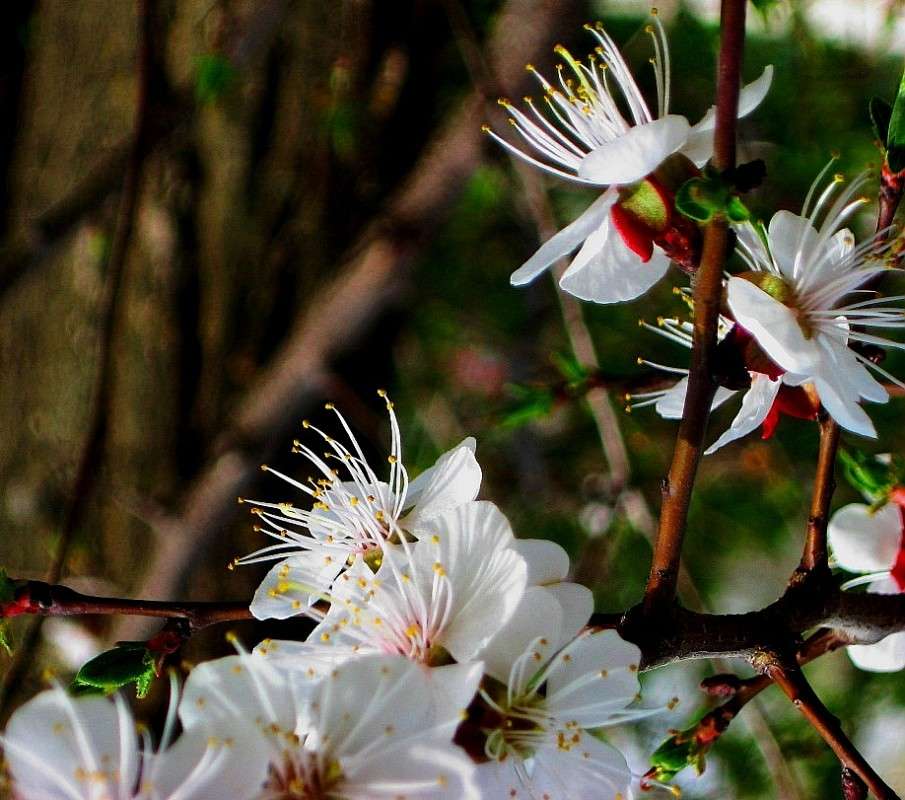 �������� ��������� ... 3 ����� Natali  ��������� �� PhotoGeek.ru #������ ��� ������� #����� ��������������